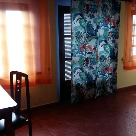 Sunshine Apartment At Tropical Coast Of Granada Almuñécar المظهر الخارجي الصورة